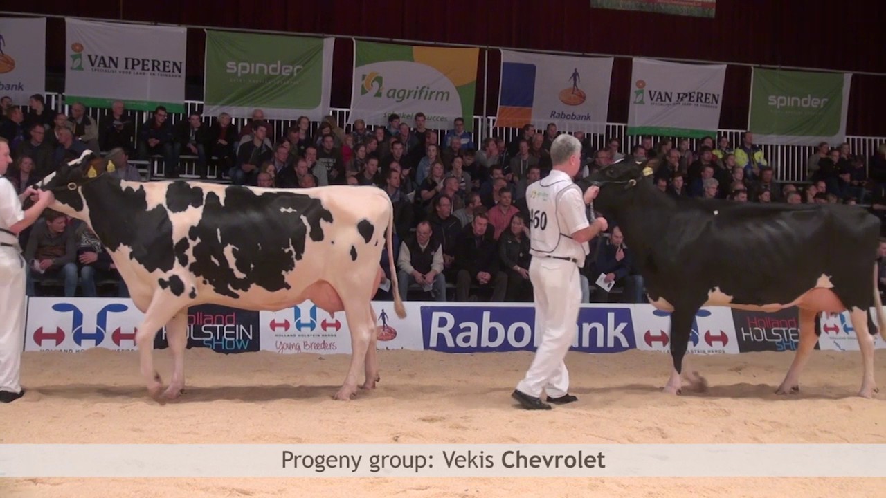 Progeny Group Vekis Chevrolet, HHH-show 2016