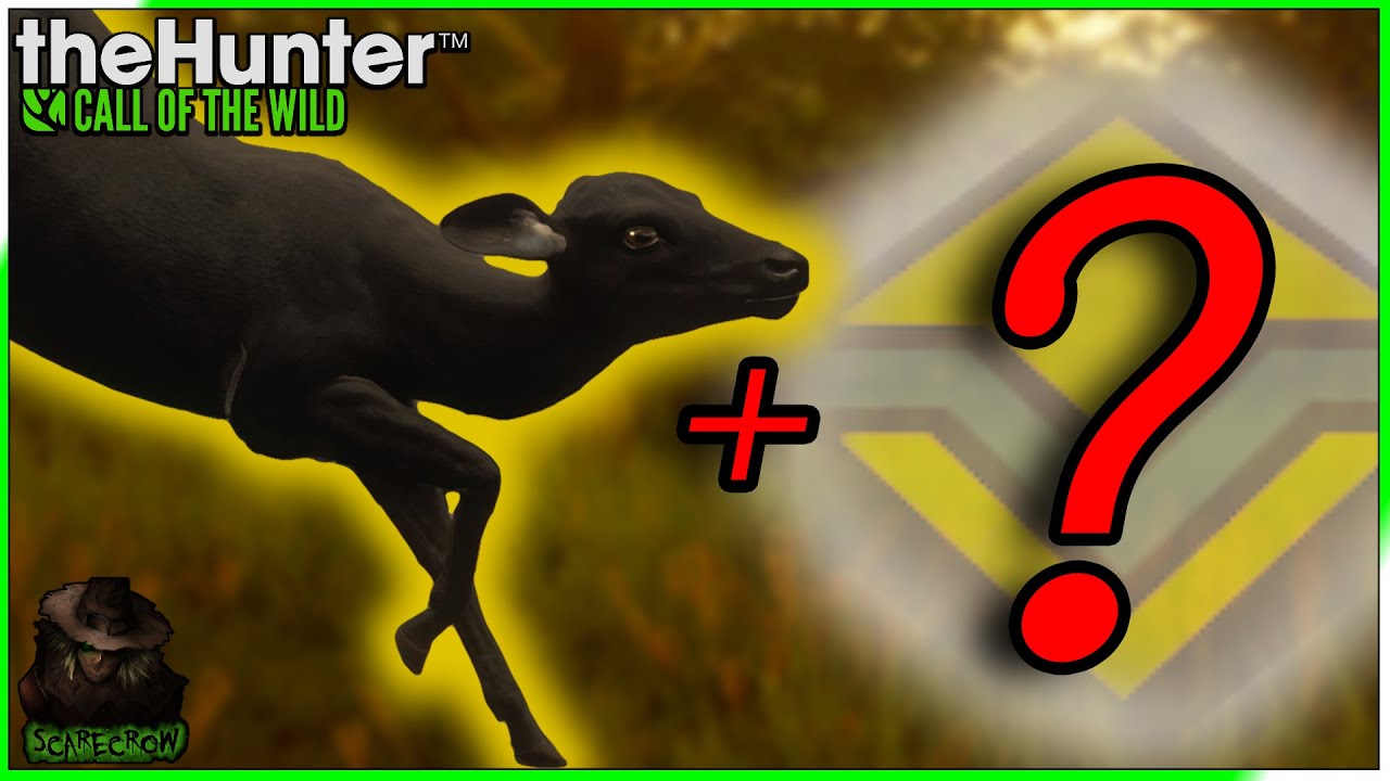 THIS WAS VERY UNEXPECTED! A Melanistic Axis Deer & A Surprise Diamond! Call of the wild