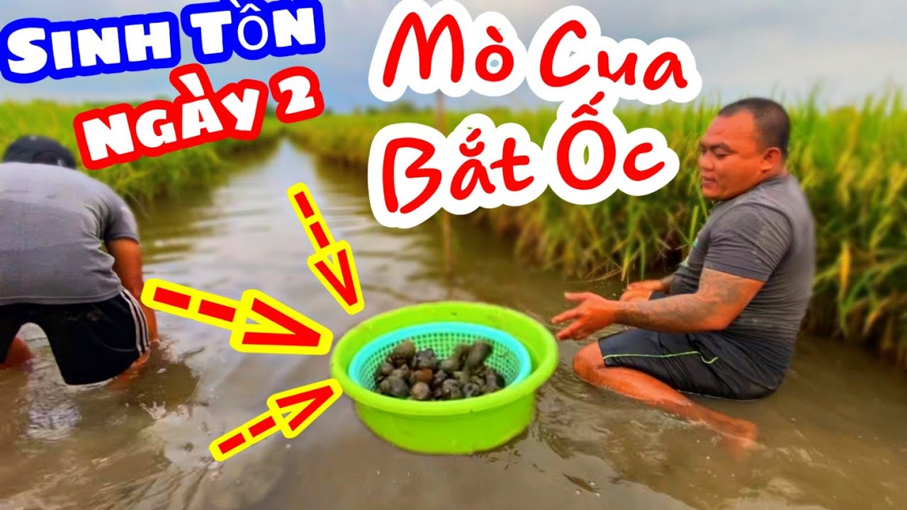 TXTV - Sinh Tồn Ngày 2 | Thánh Xàm ra đồng bắt ốc làm bữa cơm Ốc nhà Giàu ngon cực