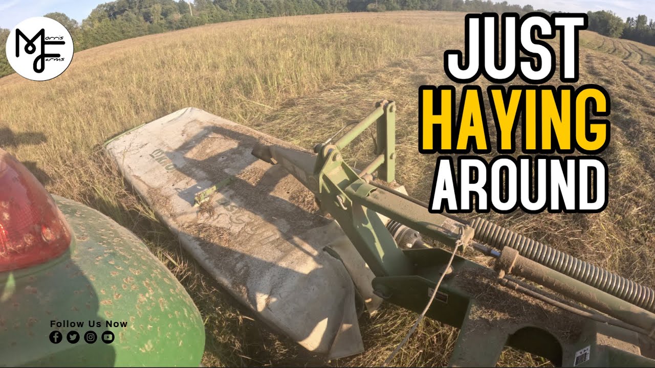 Just Haying Around