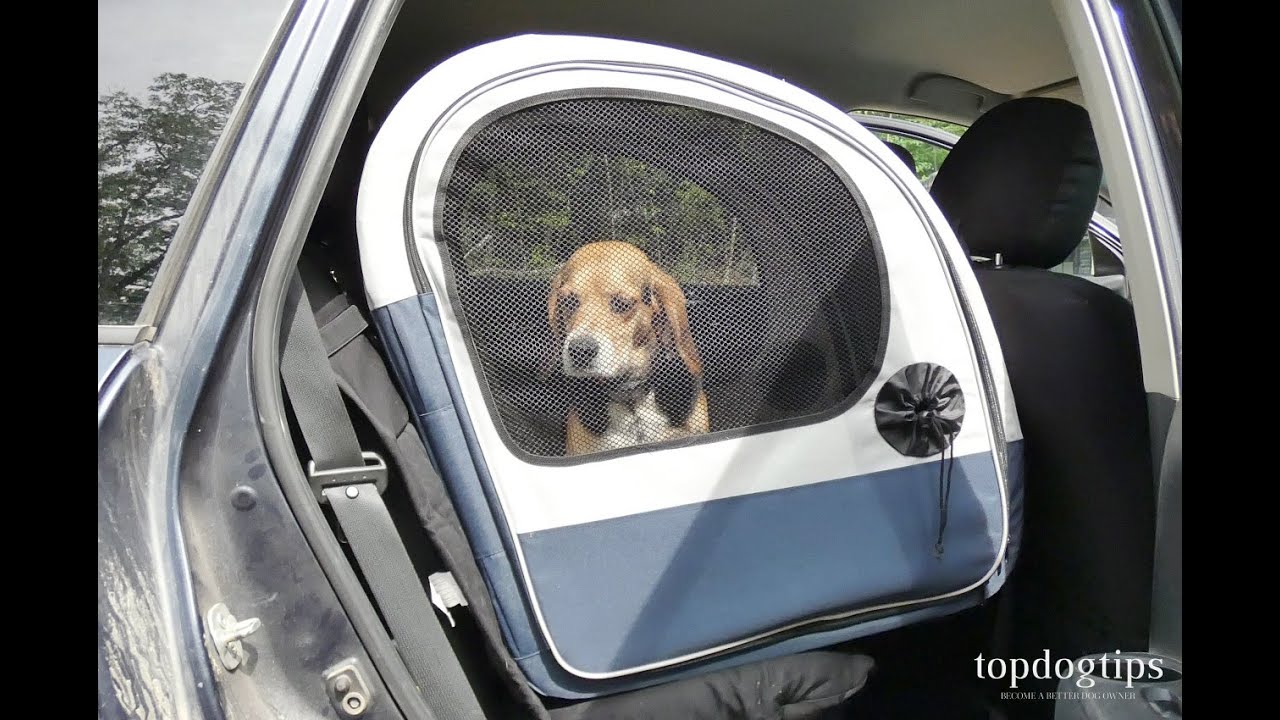 Review: PetSafe Happy Ride Collapsible Travel Crate
