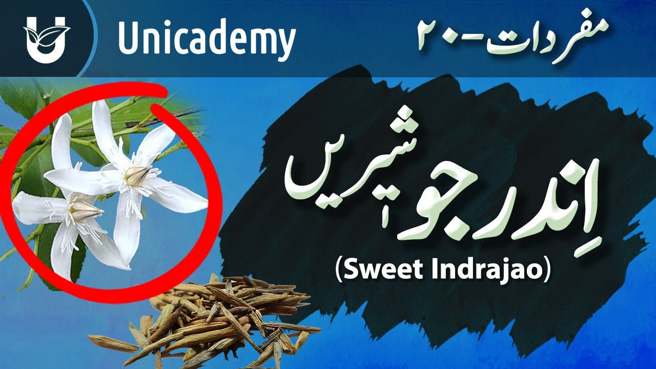Inderjo Shirin (Sweet Indrajao)  | اندرجو شیریں