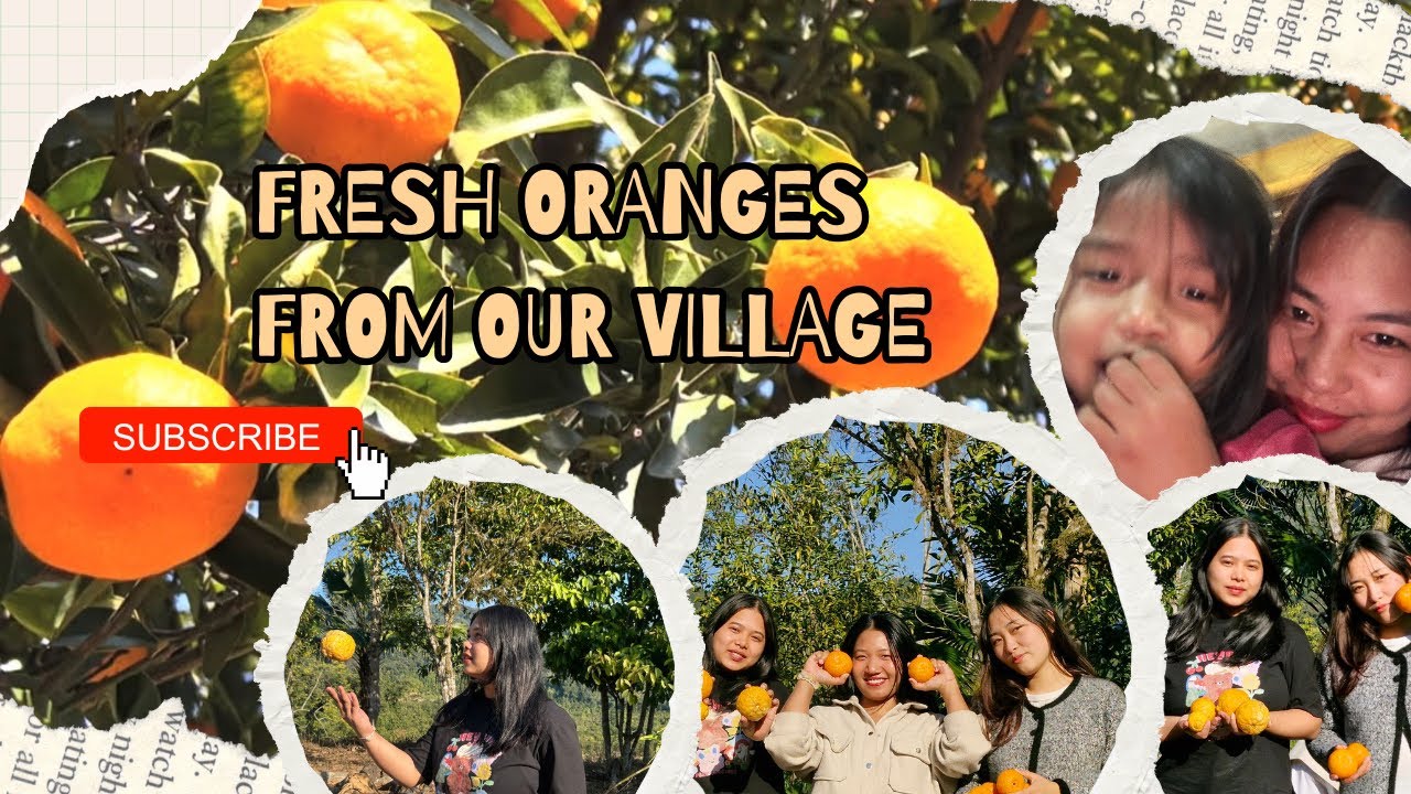 Aaj Hum Gaye Apne Gaon Orange Todne 🍊 | Village Life
