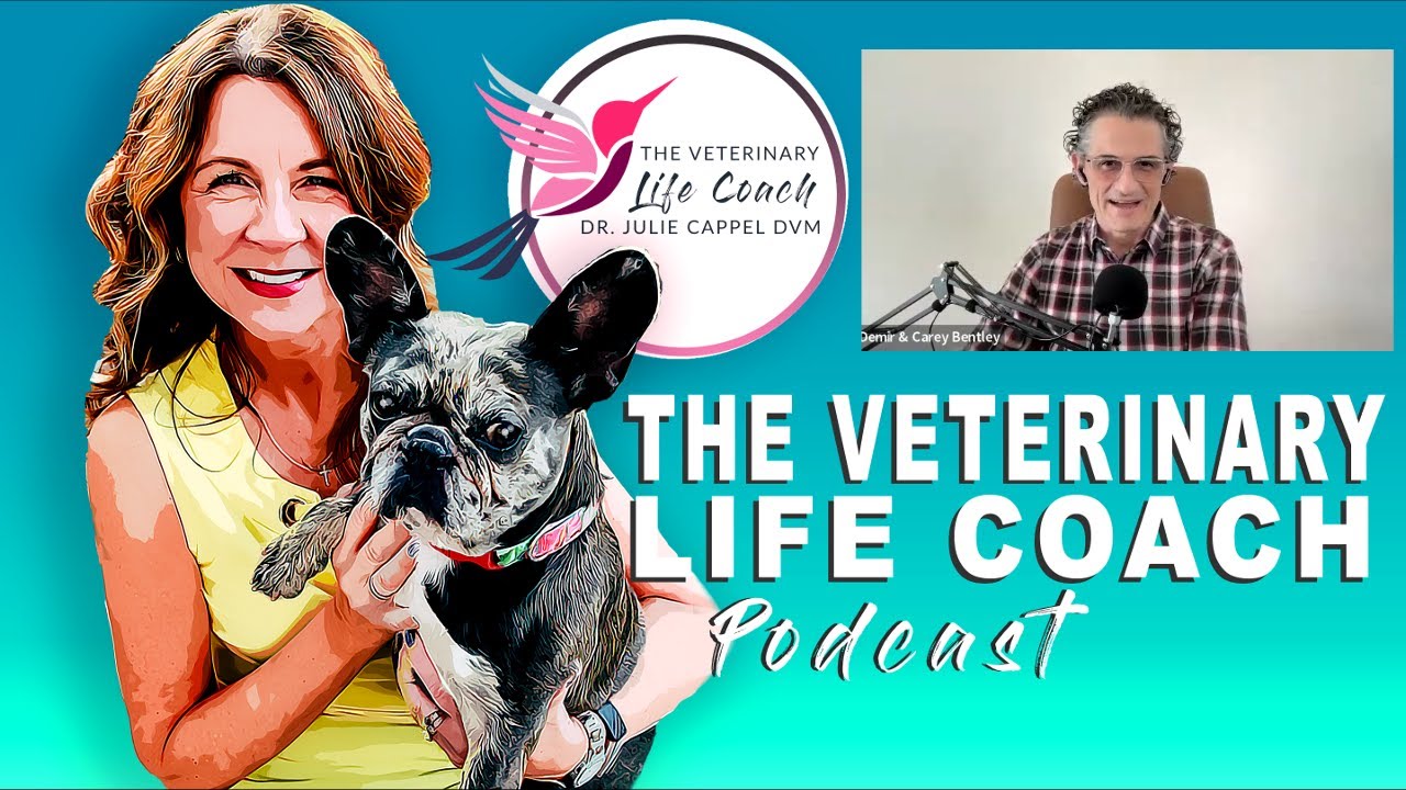 Veterinary Life Coach Podcast Episode 365 | How To Plan A Successful Week with Dimer Bentley