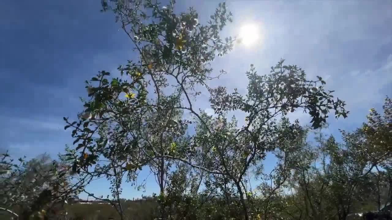 90-degree days in the forecast for Phoenix: Does early 90s signal a hot summer?