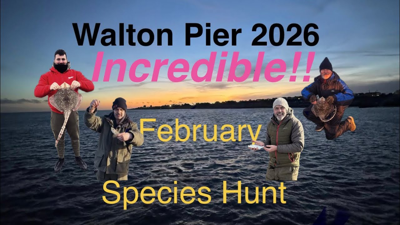 Best Sea fishing day ever?