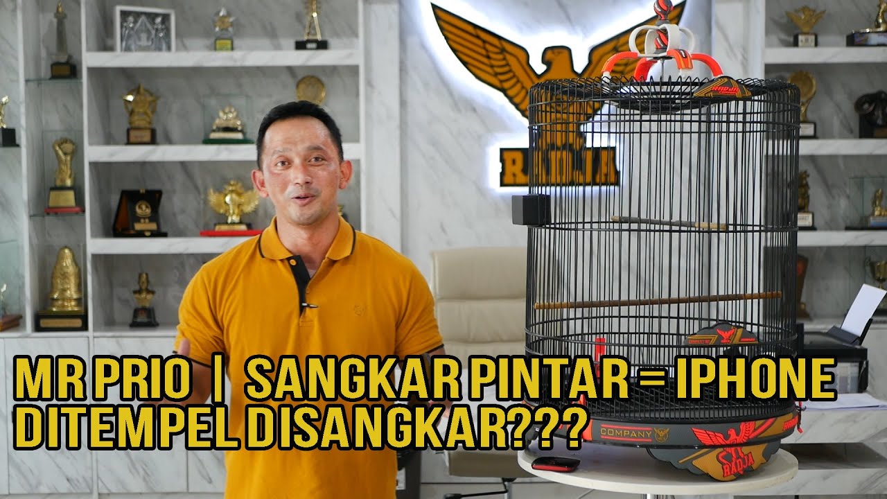 Prio Excellent Lelang Sangkar Murai Batu Pintar  Spesifikasi Setara IPhone????