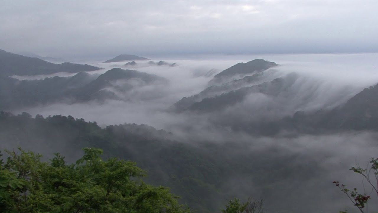 ブナの原生林とイワナの沢旅　 朝日連峰 女川　The Buna virgin forest & wild char in the Asahi mountain range in Japan