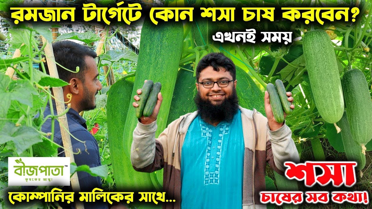 রমজান টার্গেট করে কোন শসা চাষ করবেন | এই সময়ে কি কি সবজি চাষ করবেন