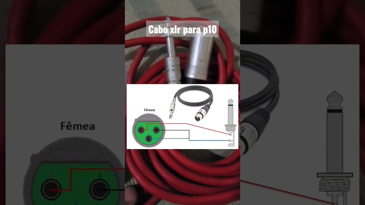 cabo xlr para p10. Canal elifone
