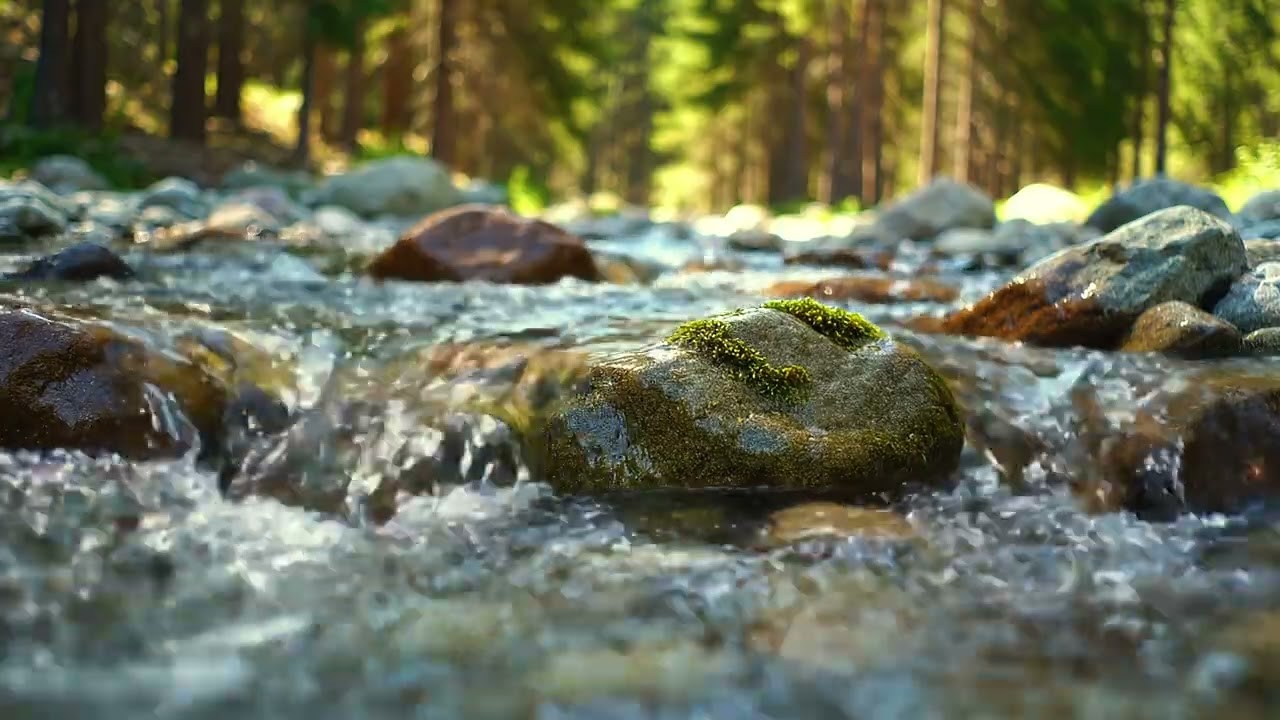HispersRiver Natural Ambience for Meditation  River Water & Birds