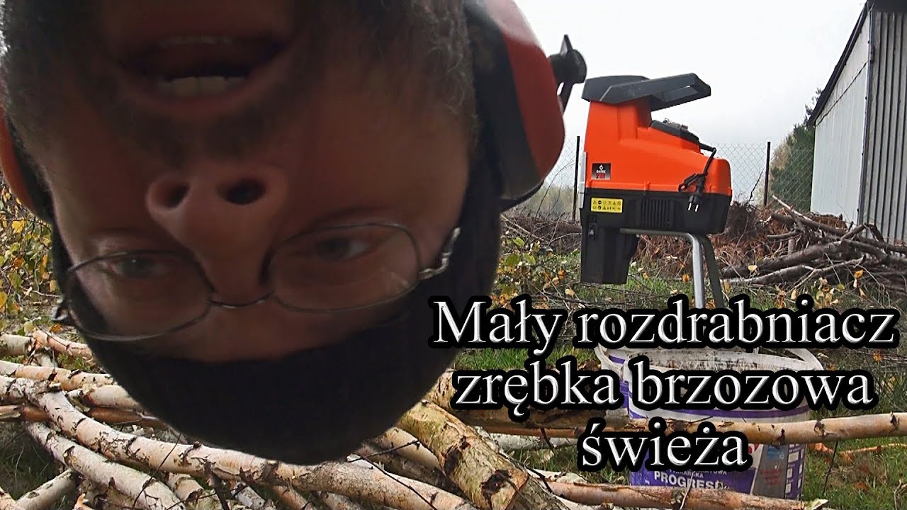 Mały rozdrabniacz - zrębka brzozowa świeża