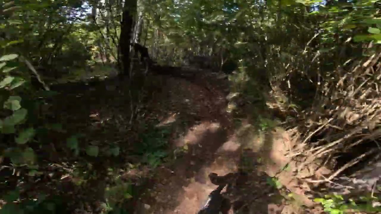 Course preview Dh Slivnica