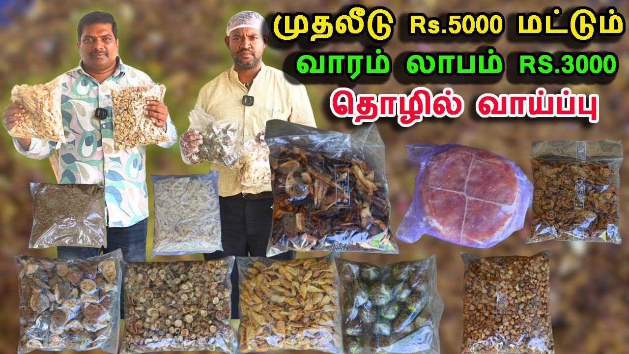 முதலீடு ரூபாய் 5000 மட்டும் வாரம் லாபம் 3000 தொழில் வாய்ப்பு Small Business Ideas in Tamil