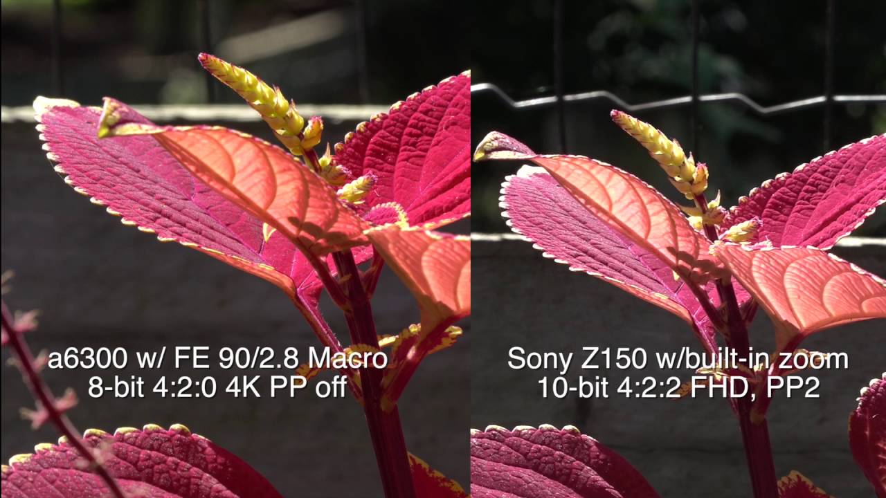 Sony Z150: Child of RX10 III and FS5, Much More Interesting than I'd Thought