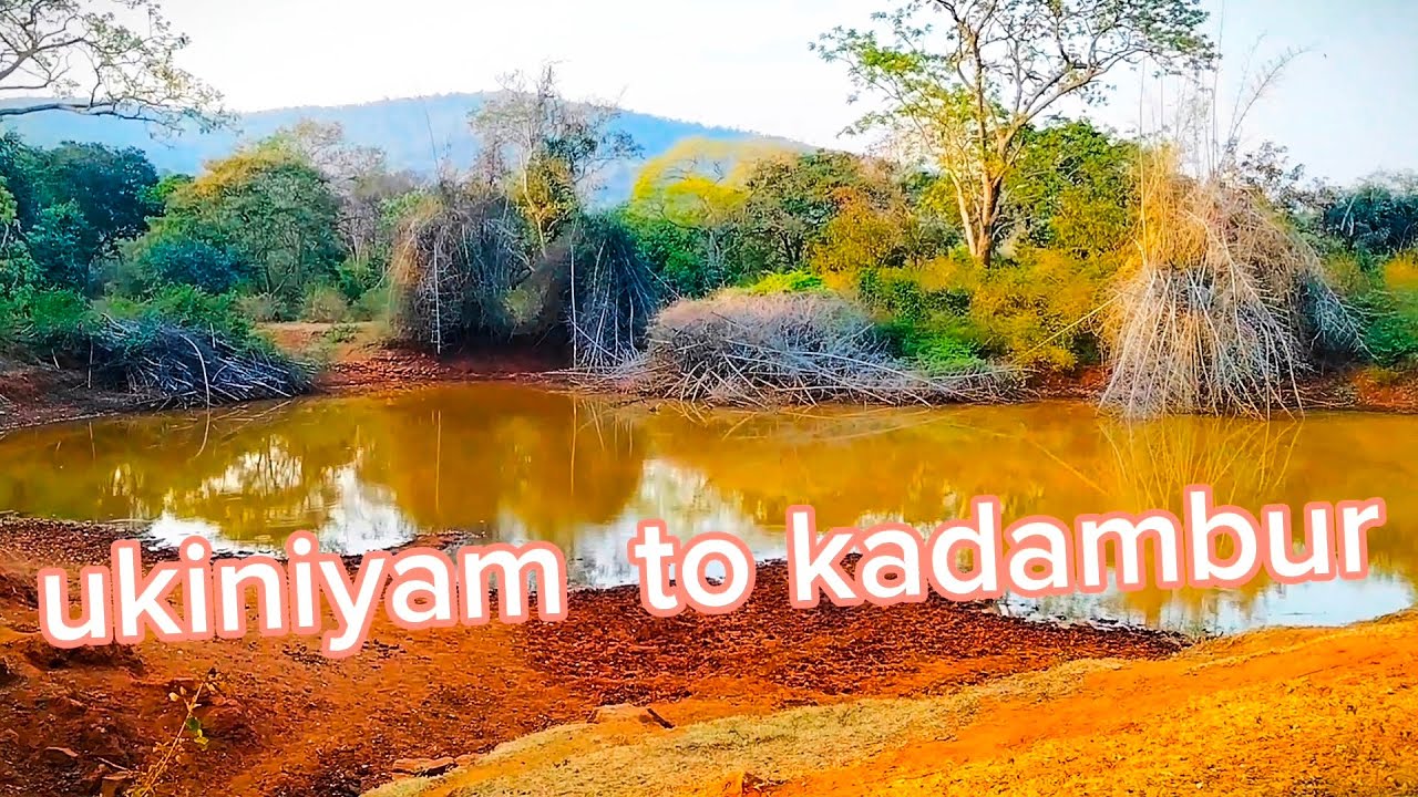 Sathyamangalam tiger reserve. Ukiniyam to kadambur road trip. restricted road ...