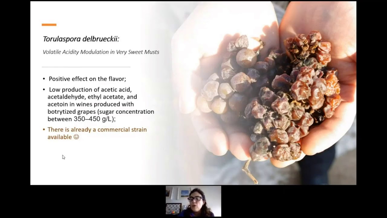 Bio-modulating wine acidity: The role of non-Saccharomyces yeasts (Alice Maria Correia Vilela)