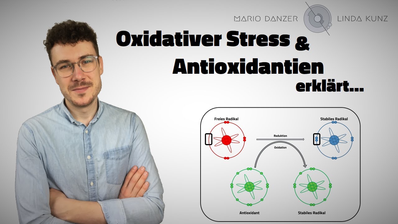 Was ist oxidativer Stress? Wie funktionieren Antioxidantien? | Stoffwechsel | Folge 3