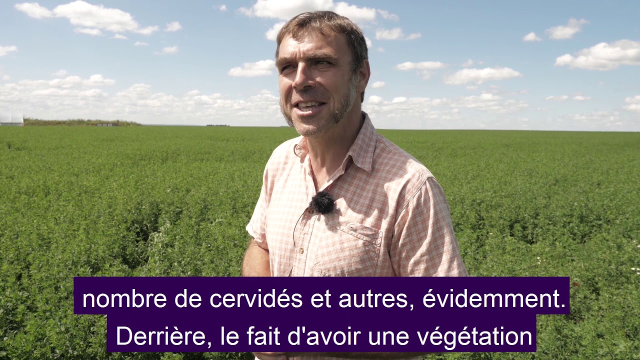 La luzerne & vous : Ep. 4: la conversion à l'agriculture Biologique