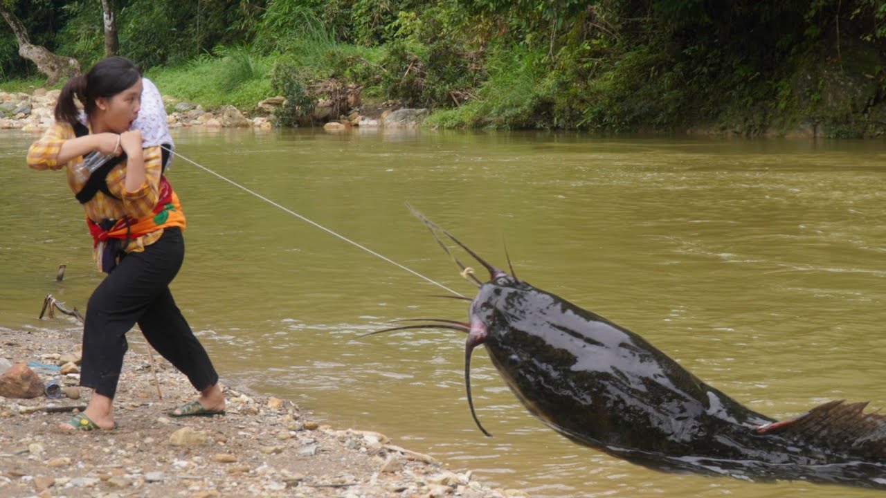 Traditional fishing skills - single mother catches giant fish to sell for a living