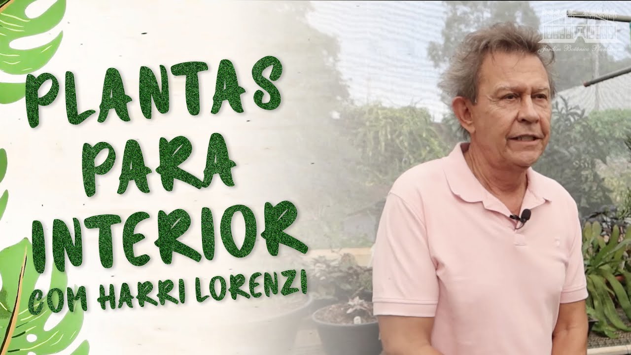 Plantas Para Interior (Rhipsalis) | Por Dentro do Plantarum | Com Harri Lorenzi