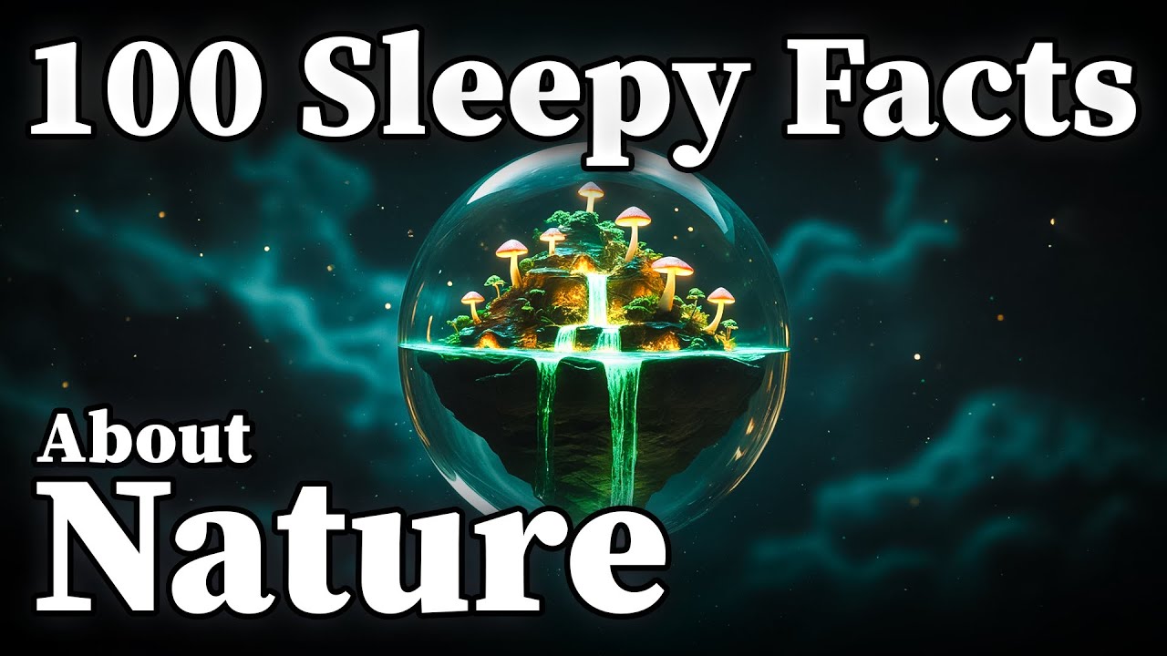 The Most Relaxing Nature Facts to Fall Asleep To 🌿 2 Hours of Deep Sleep & Natural Wonders