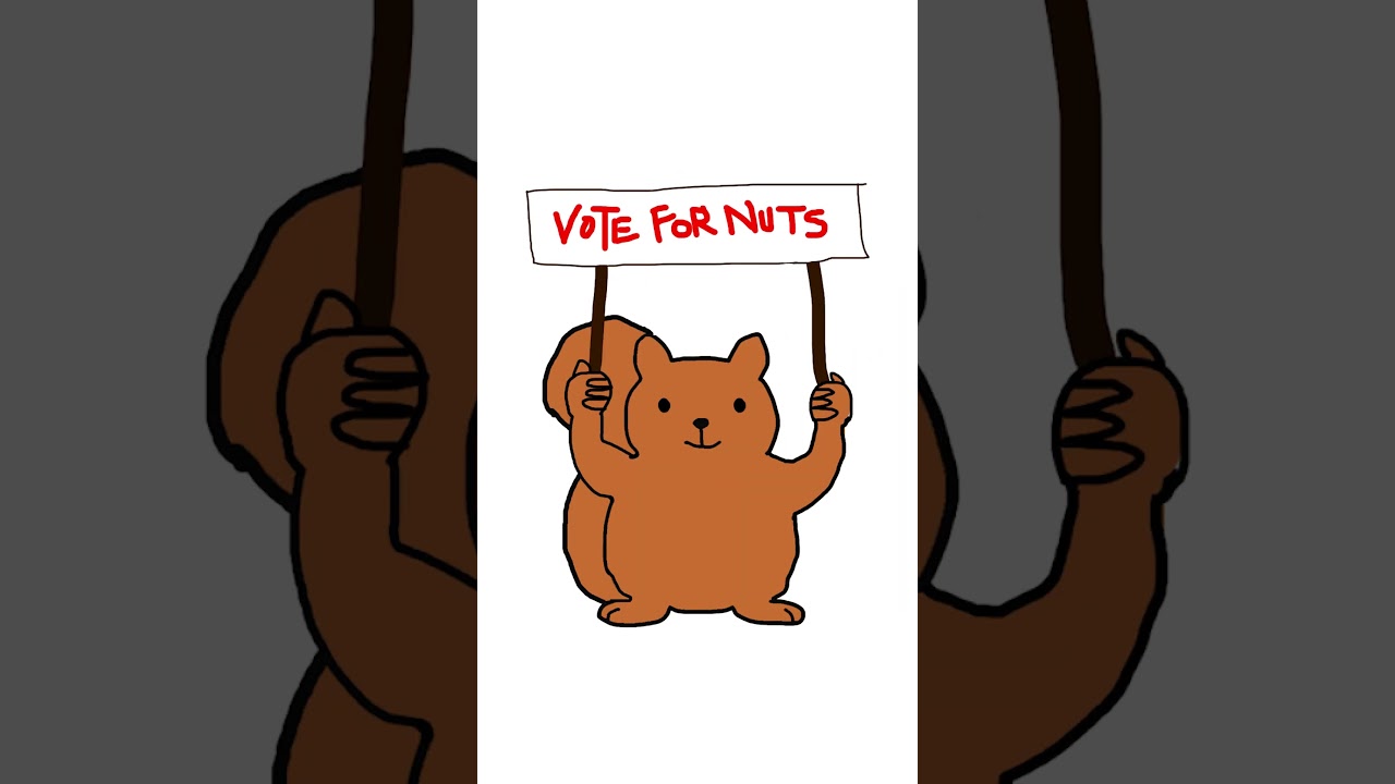 Representative Democracy explained with Nuts