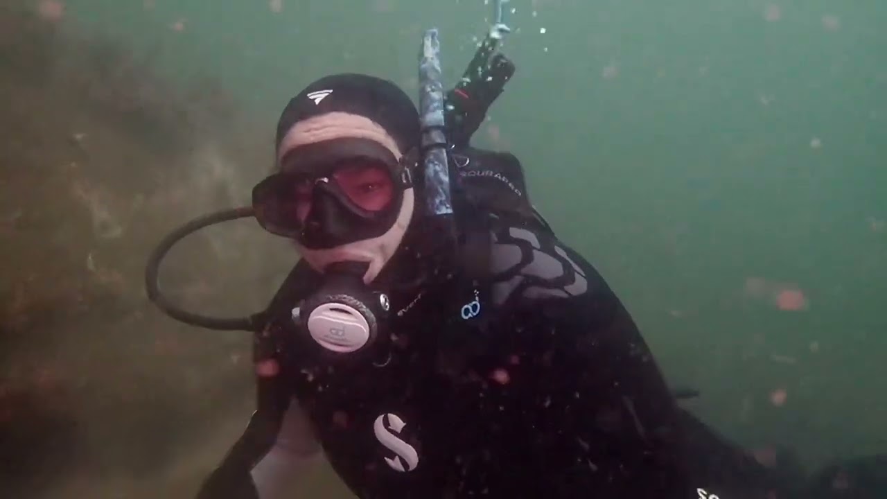 Kurnell Dive at The  Monument