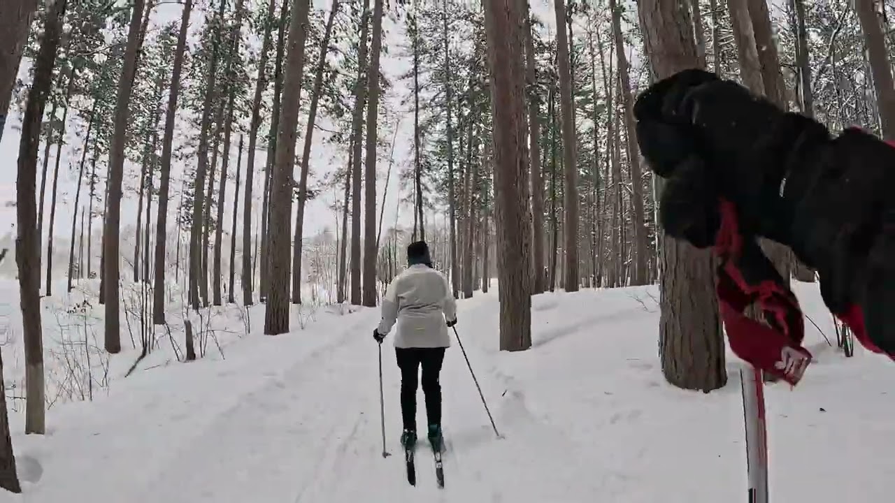 Skiing the Pinery Lakes Ski Trail 