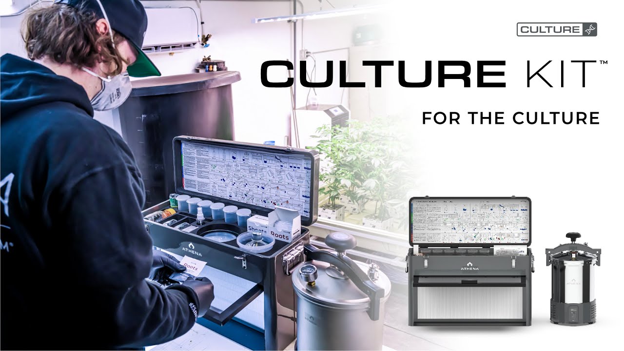 Tissue Culture Kit
