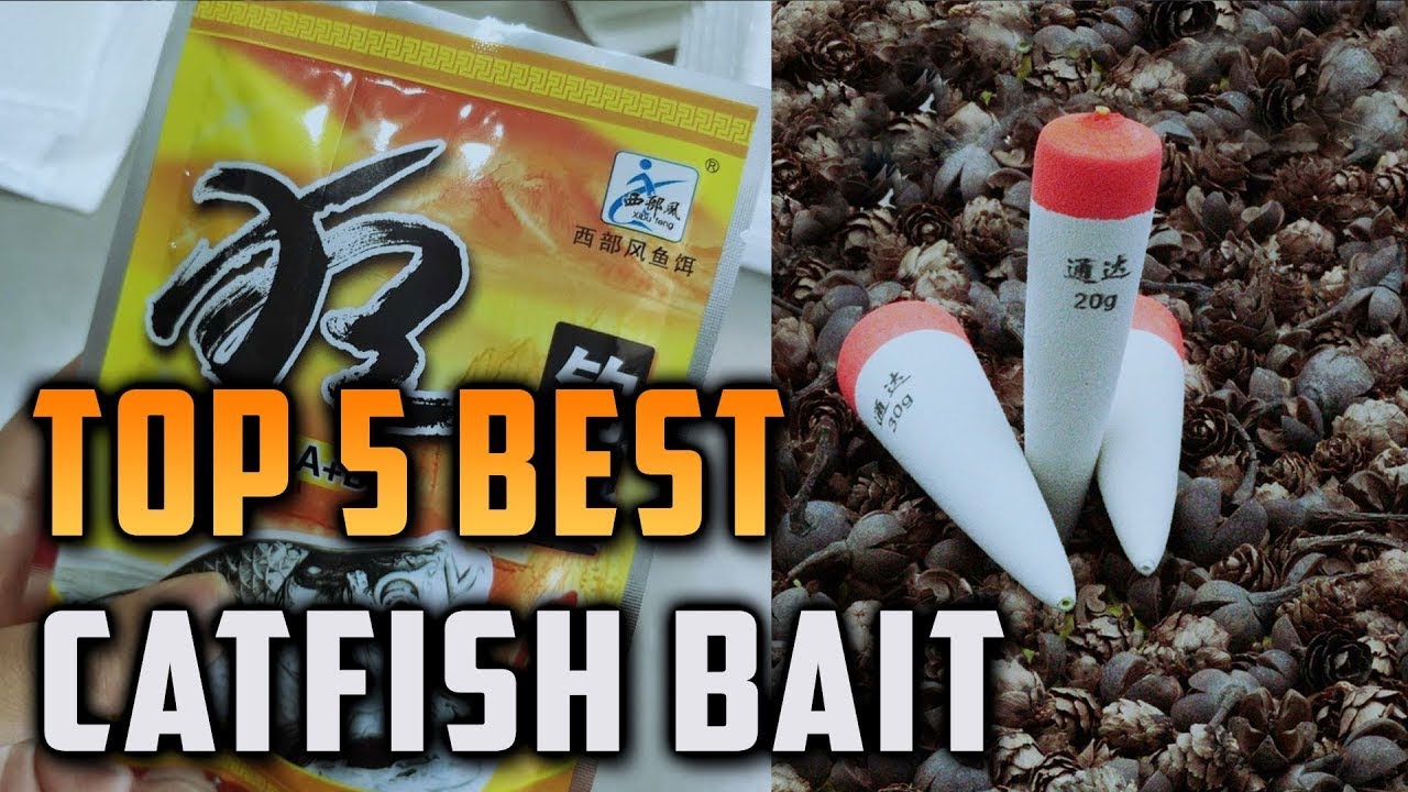 Top 5 Best Catfish Bait on On Aliexpress On Amazon