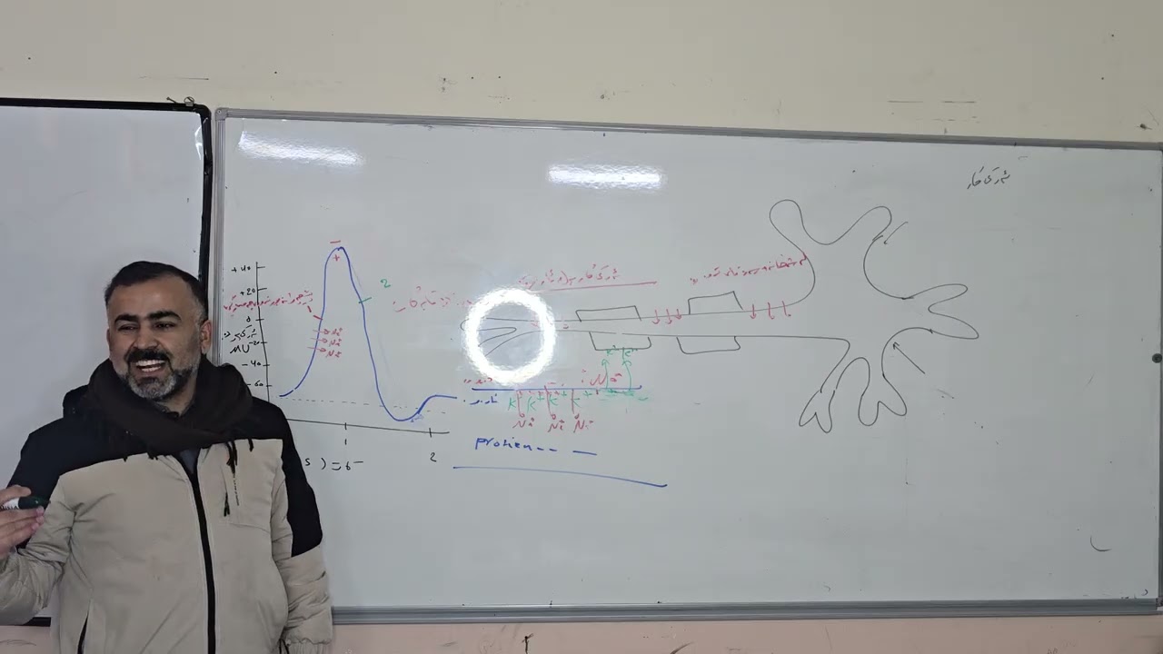 م.غالب عبدللە زیندەزانی بابەت /ئەرکی کار  لا69بۆ70