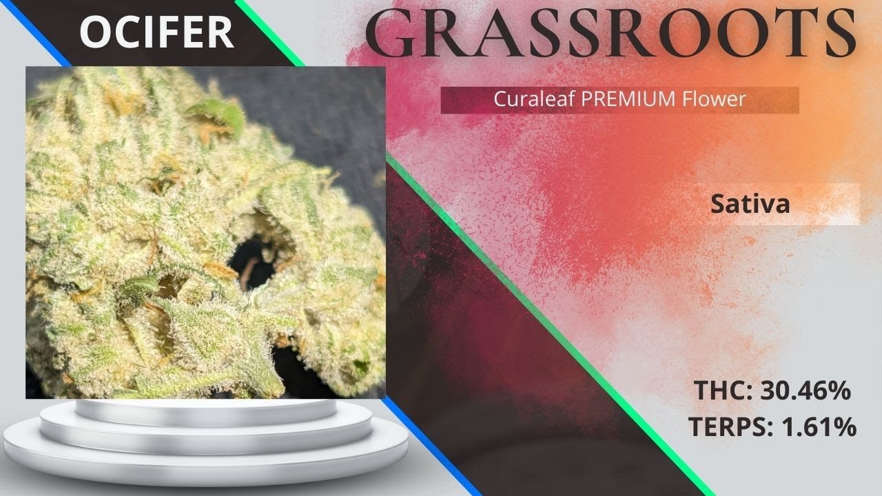 Curaleaf Flower ~ REVIEW of this Sativa-leaning strain -- BY: Grassroots
