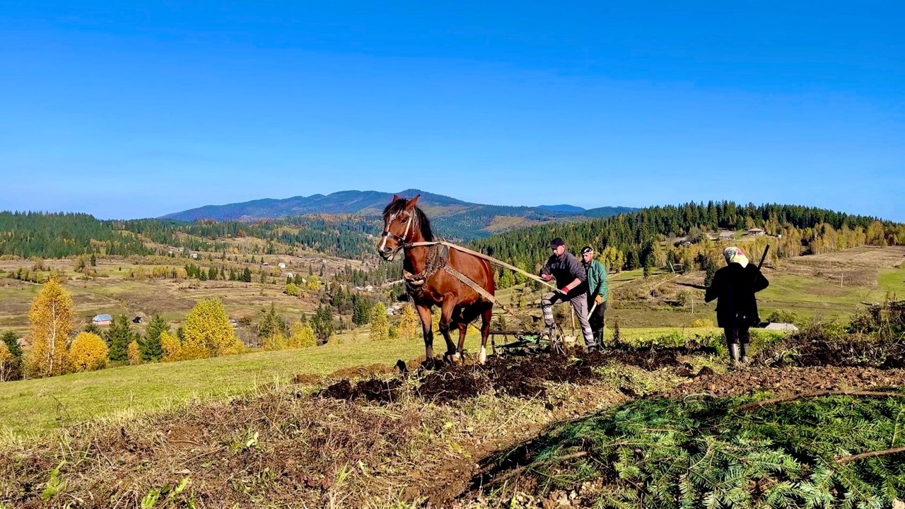 Autumn charm of simple rural life in a high-mountain village in the Carpathians