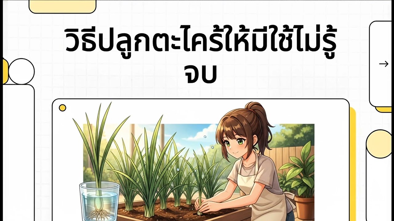 วิธีปลูก 