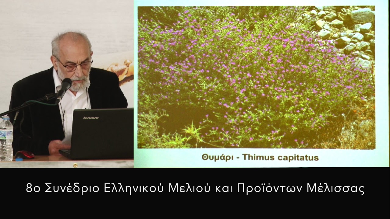 Μελισσοκομικά φυτά