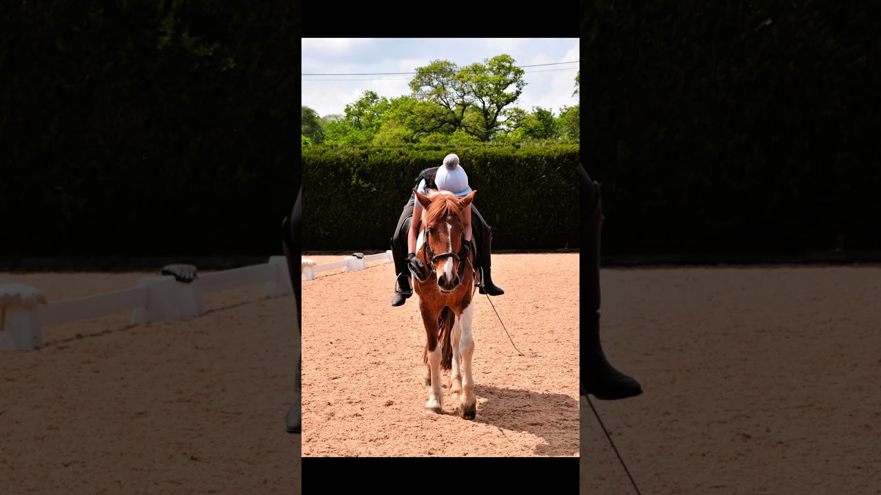 Spend my Weekend with me at Wellington Riding