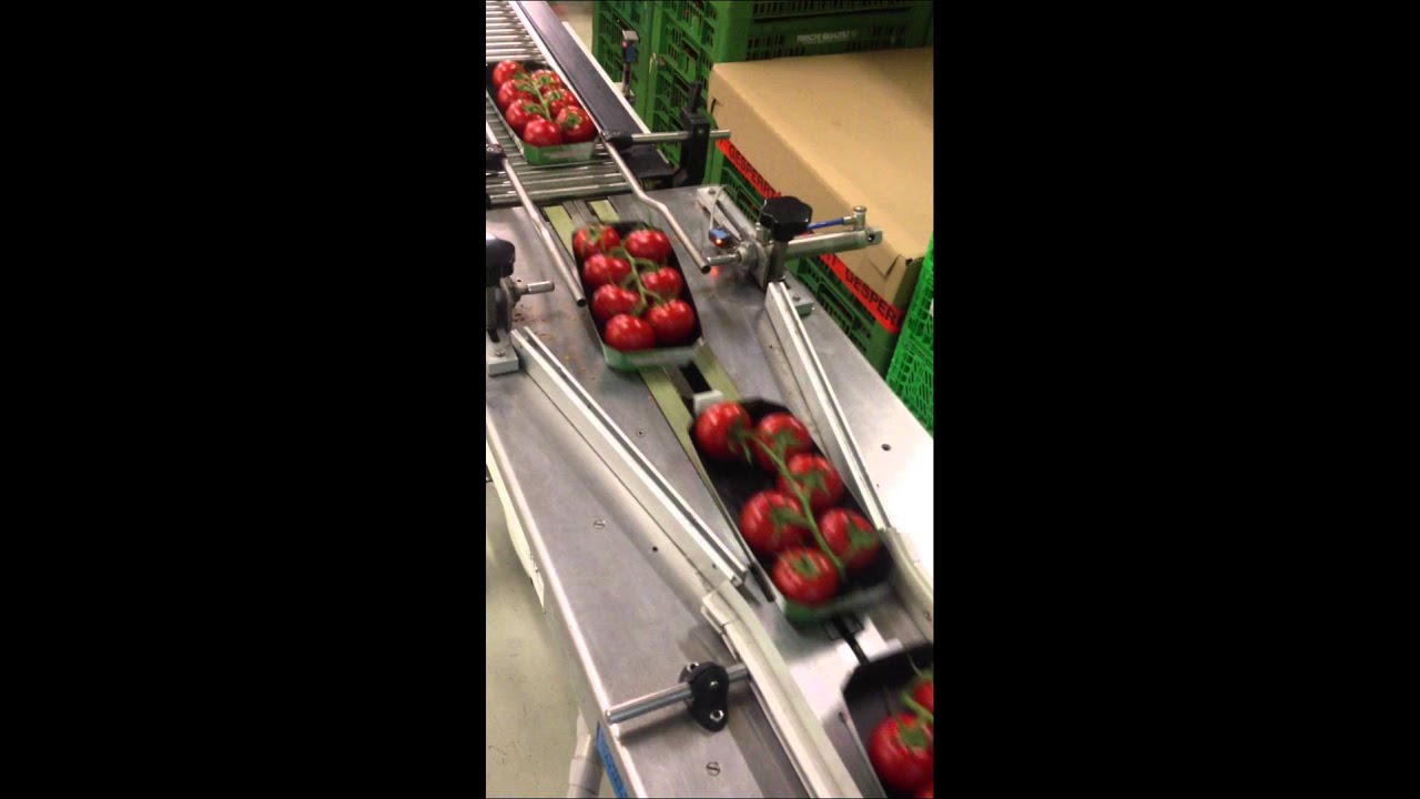 PFM 3 Eintakter