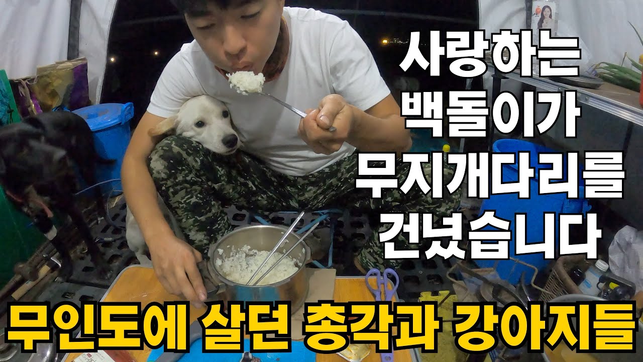 항상 곁을 지키던 백돌이가 하늘나라로 갔습니다 (어릴 적 영상들)