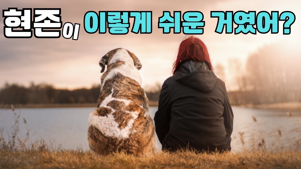 이 영상을 보시면 마음껏 현존할 수 있습니다. 물론 선택은 자유~