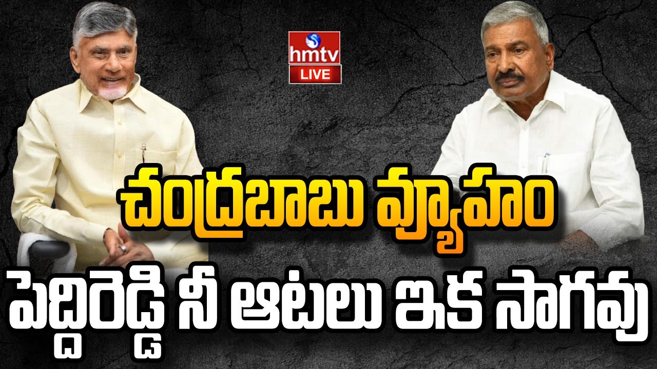 LIVE : కూటమి పవర్ పాలిటిక్స్ .. పెద్దిరెడ్డి దారెటు..? | Peddireddy Ramachandra Reddy | TDP | hmtv