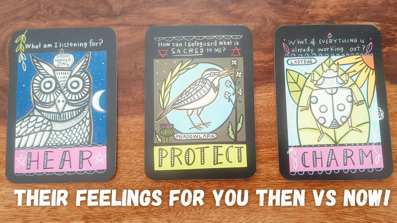 **Pick a Card** Their Feelings For You Then VS Now