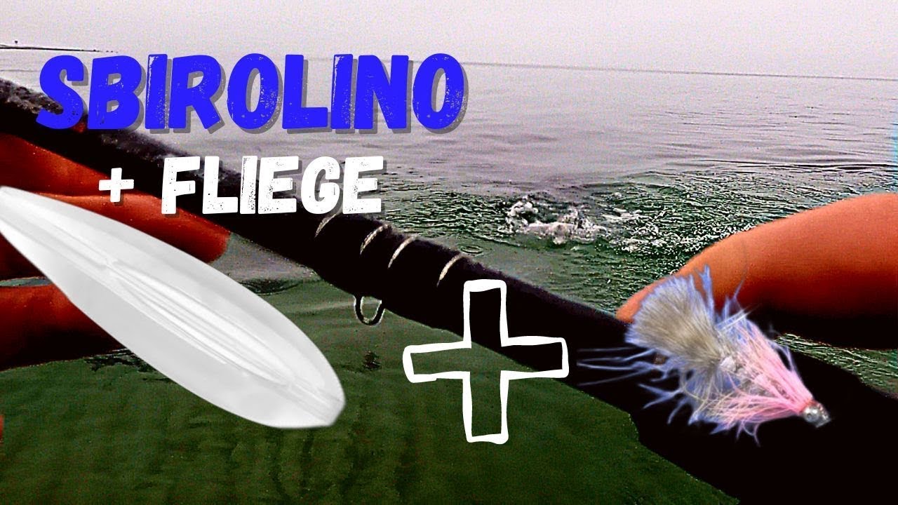 Meerforelle | Spinnfischen mit Sbirolino und Fliege: Tipps für Fänge an der Küste!