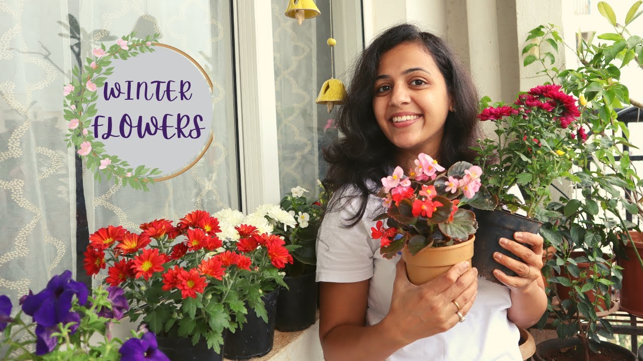 10 Easy to Grow Winter Season Flowering Plants to bring Color into your Garden | Winter Flowers