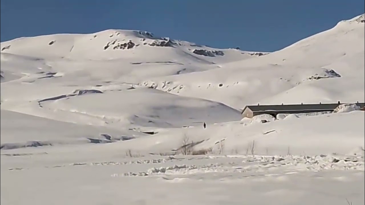 Kars bozkuş köyü
