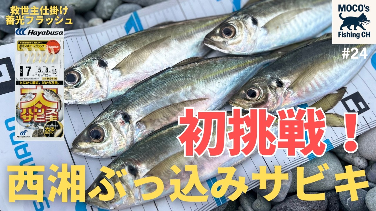 【初挑戦】真冬の西湘ぶっ込みサビキ3日間の記録｜6時間待ってアジ連発、そして尺未遂…