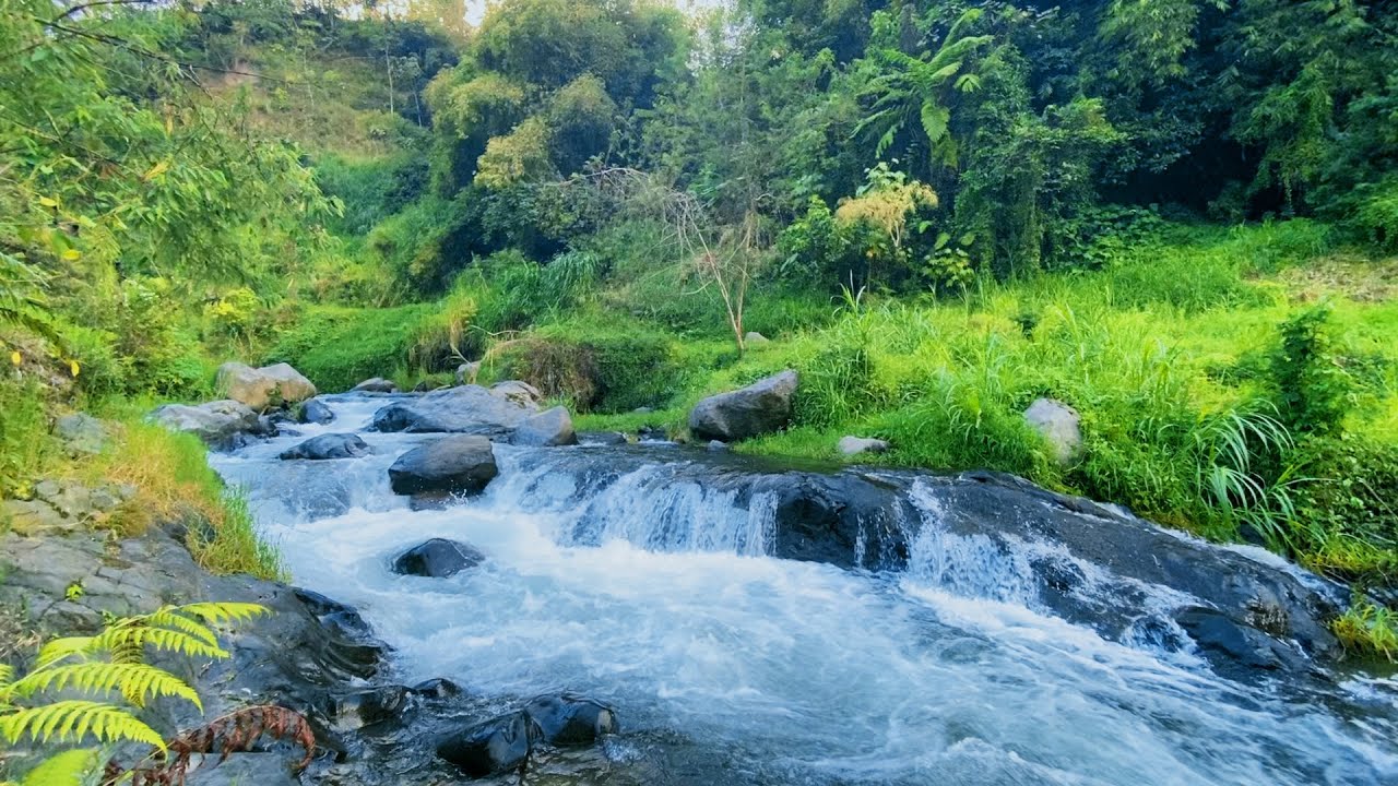 Calm River Ambience for Sleep & Anxiety Relief | Healing Water Sounds for Relaxation