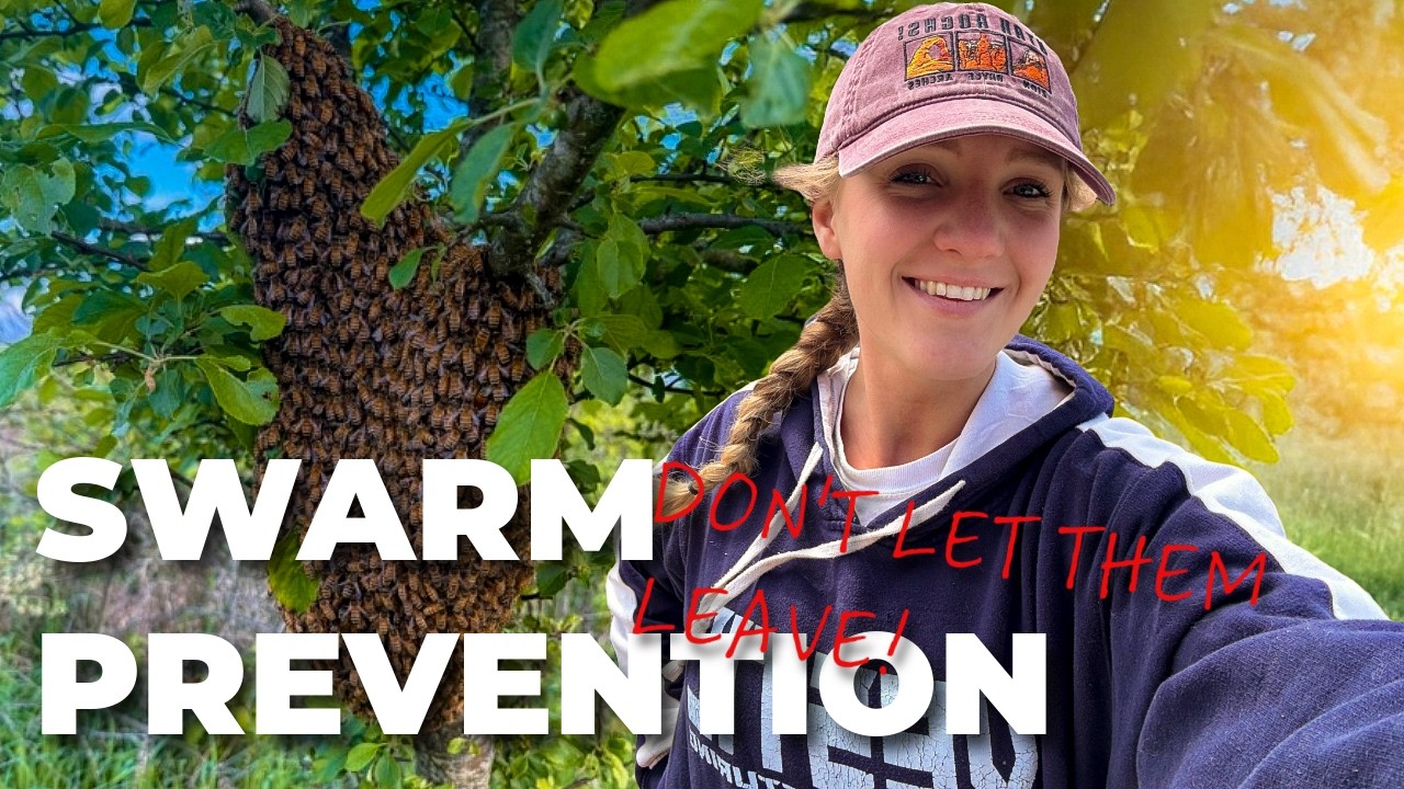 STOP Losing Your Bees! Proven Tricks to Prevent Swarming! / Beekeeping 101 #beekeeping
