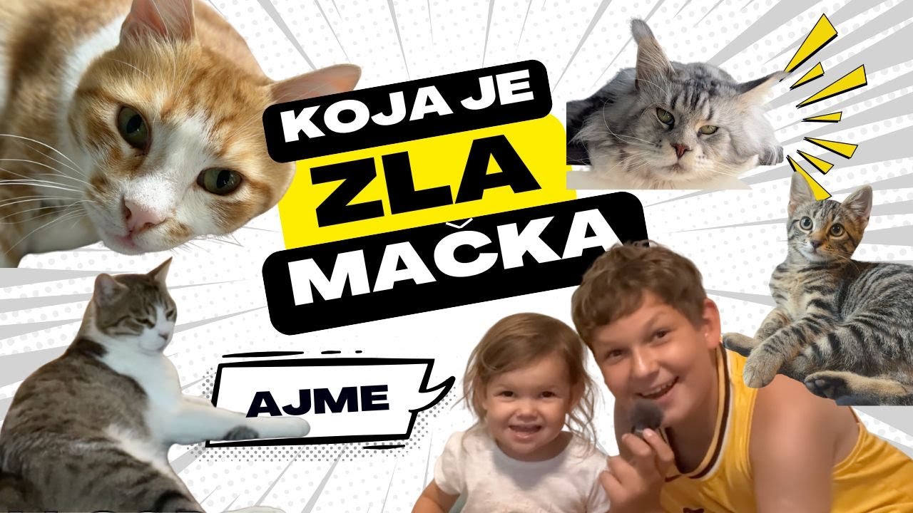 Nove dvije mace