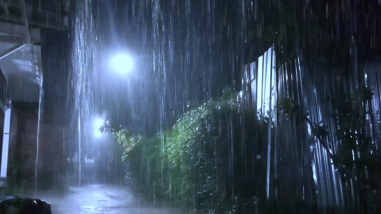 Soothing Relaxing Rain Sounds For Stress Relief - Peaceful in The Misty Path, Rain Sound Natural